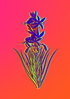 Neon Florals Illustration