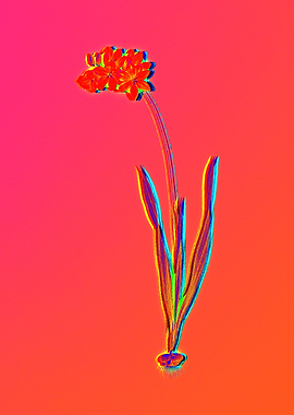 Neon Florals Illustration