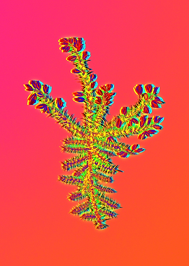 Neon Leaf Illustration