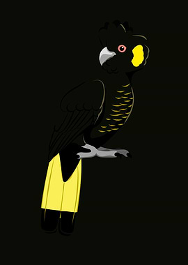 Yellow Tailed Black Cockat