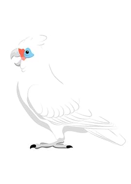 Little corella