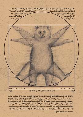 The Vitruvian Bear