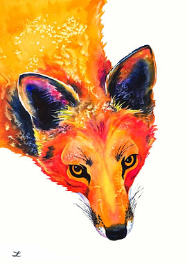 Red Fox