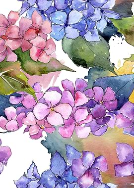 Hydrangea Pattern 18