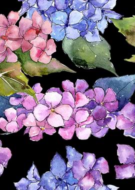 Hydrangea Pattern on B 01