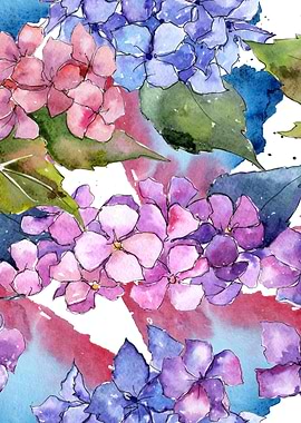 Hydrangea Pattern 26