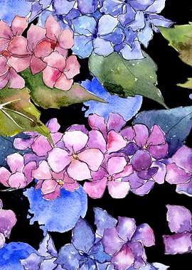 Hydrangea Pattern on B 04