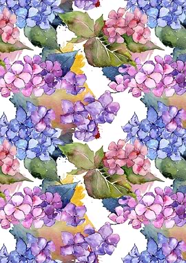 Hydrangea Pattern 19