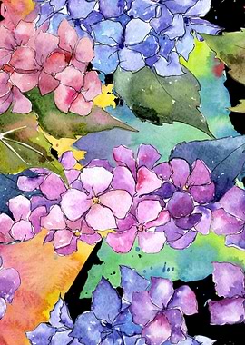 Hydrangea Pattern on B 07