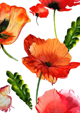 Red Poppy Pattern 05