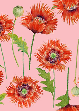 Pink Poppy Pattern 08