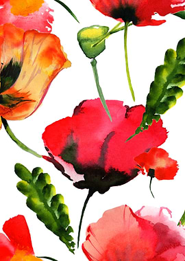Red Poppy Pattern 03