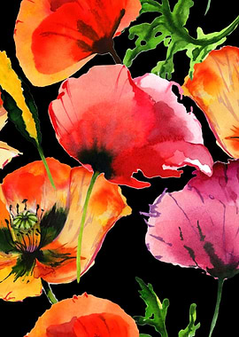 Red Poppy Pattern on B 08