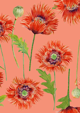 Orange Poppy Pattern 01