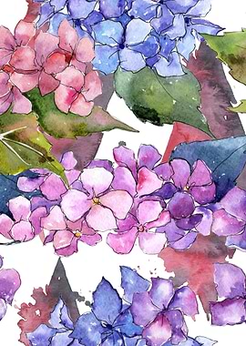Hydrangea Pattern 20