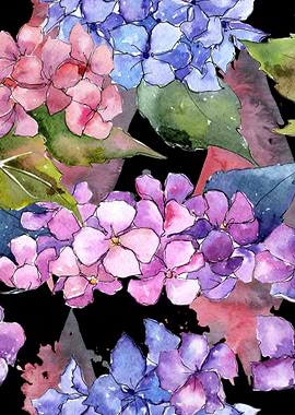 Hydrangea Pattern on B 05