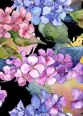 Hydrangea Pattern on B 03