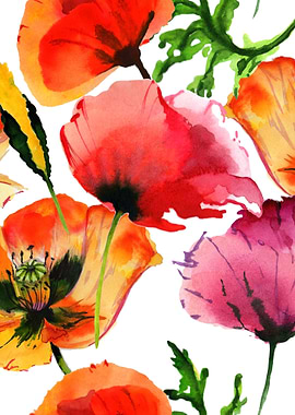 Red Poppy Pattern 08