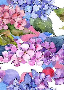 Hydrangea Pattern 27