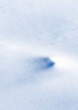 Winter Snowdrifts