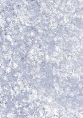Fresh Snow Pattern