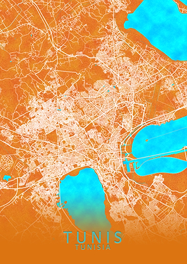 Tunis Tunisia City Map