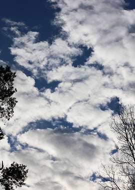 Sky and clouds background