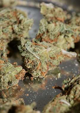 Strawberry haze background