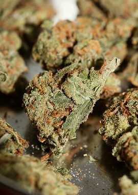 Strawberry haze background