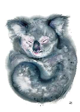 Sleeping Koala