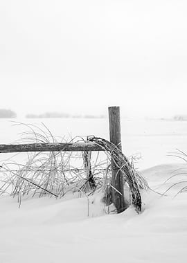 Cold Post