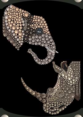 Elephant et Rhinoceros