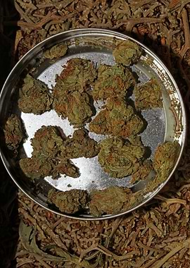 Strawberry Super Haze