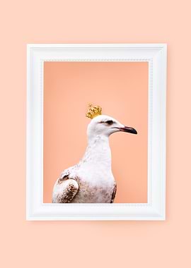Royal Seagull