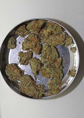 Strawberry Super Haze