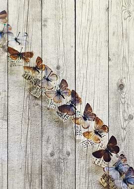 Butterfly Art