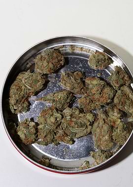 Strawberry Super Haze