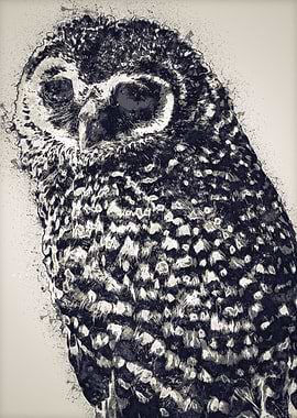 Owls in the artwork 17