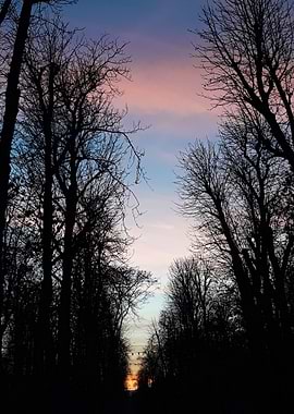 Color full park sunset