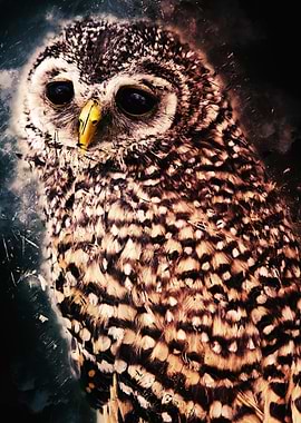 Owls in the artwork 14