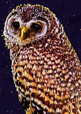 Owls in the artwork 13