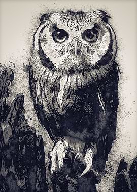 Owls in the artwork 31