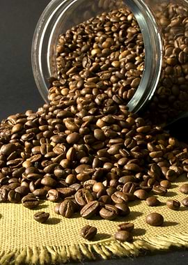 Coffee Bean