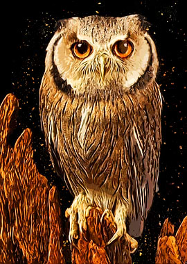 Owls in the artwork 23