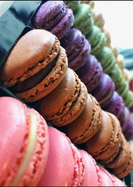 Macaroons