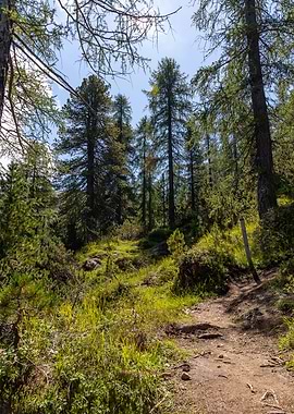 Dolomites near Cortina