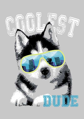 husky puppy with sunglasse