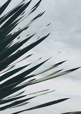 Natural Background 29