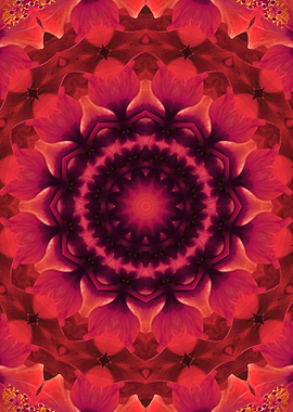 Root Chakra