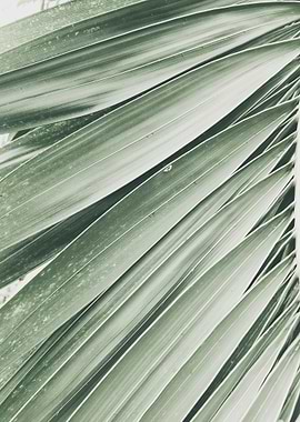 Natural Background 25